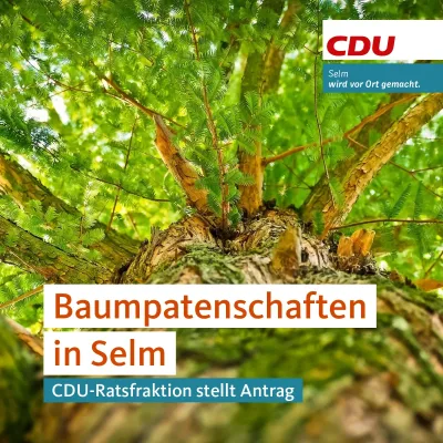 Beitragsbild: CDU stellt Antrag zu Baumpatenschaften